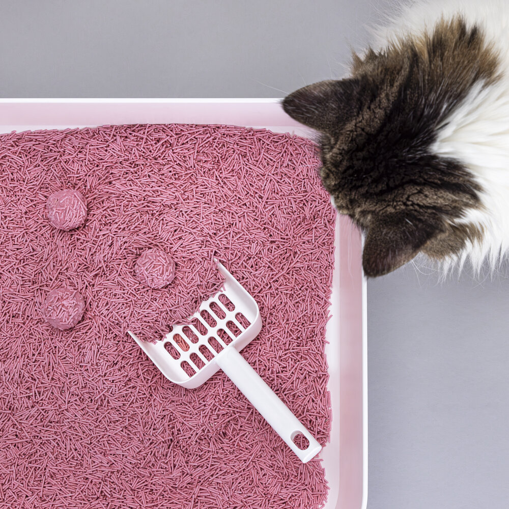 Tofu Baby powder Cat Litter 7L-3