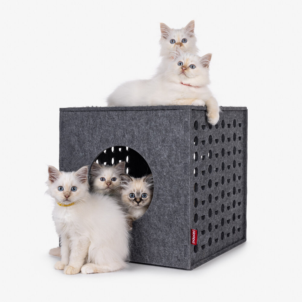 Cube Grey-2