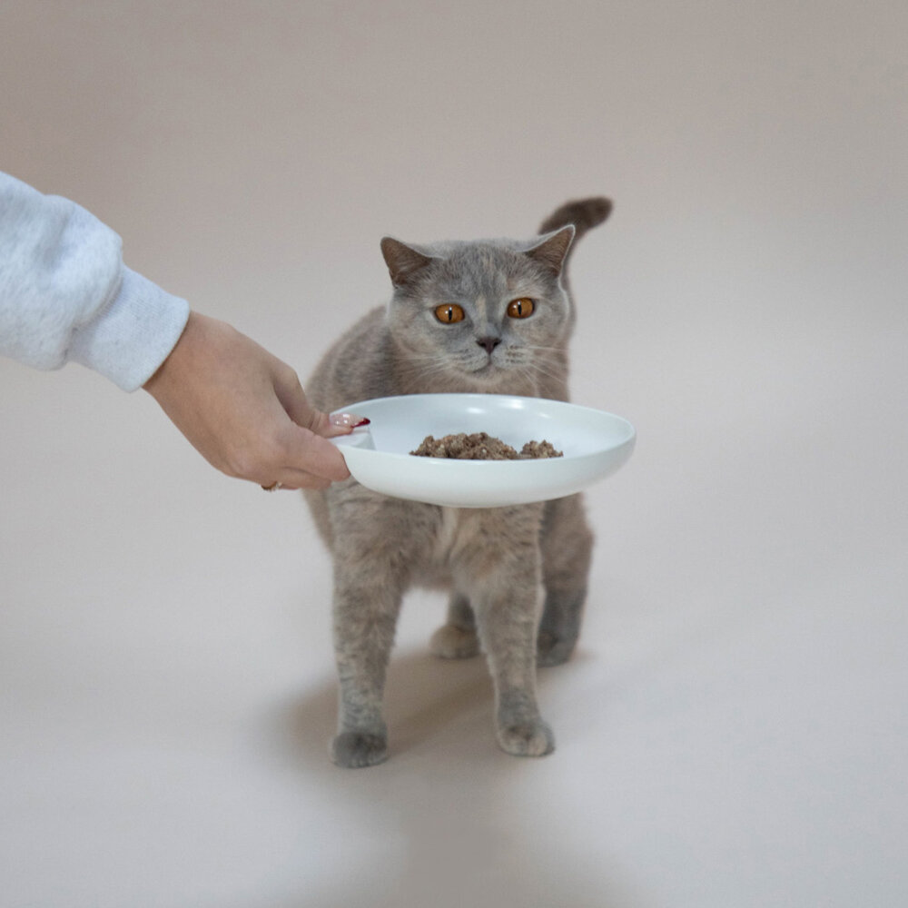 Beef Paté 6 x 200g-5