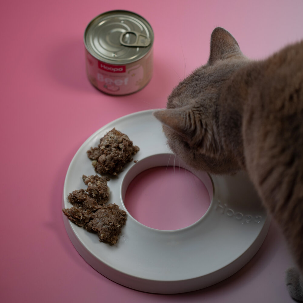 Beef Paté 6 x 200g-8