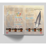 KoiBijbel: Waterkwaliteit