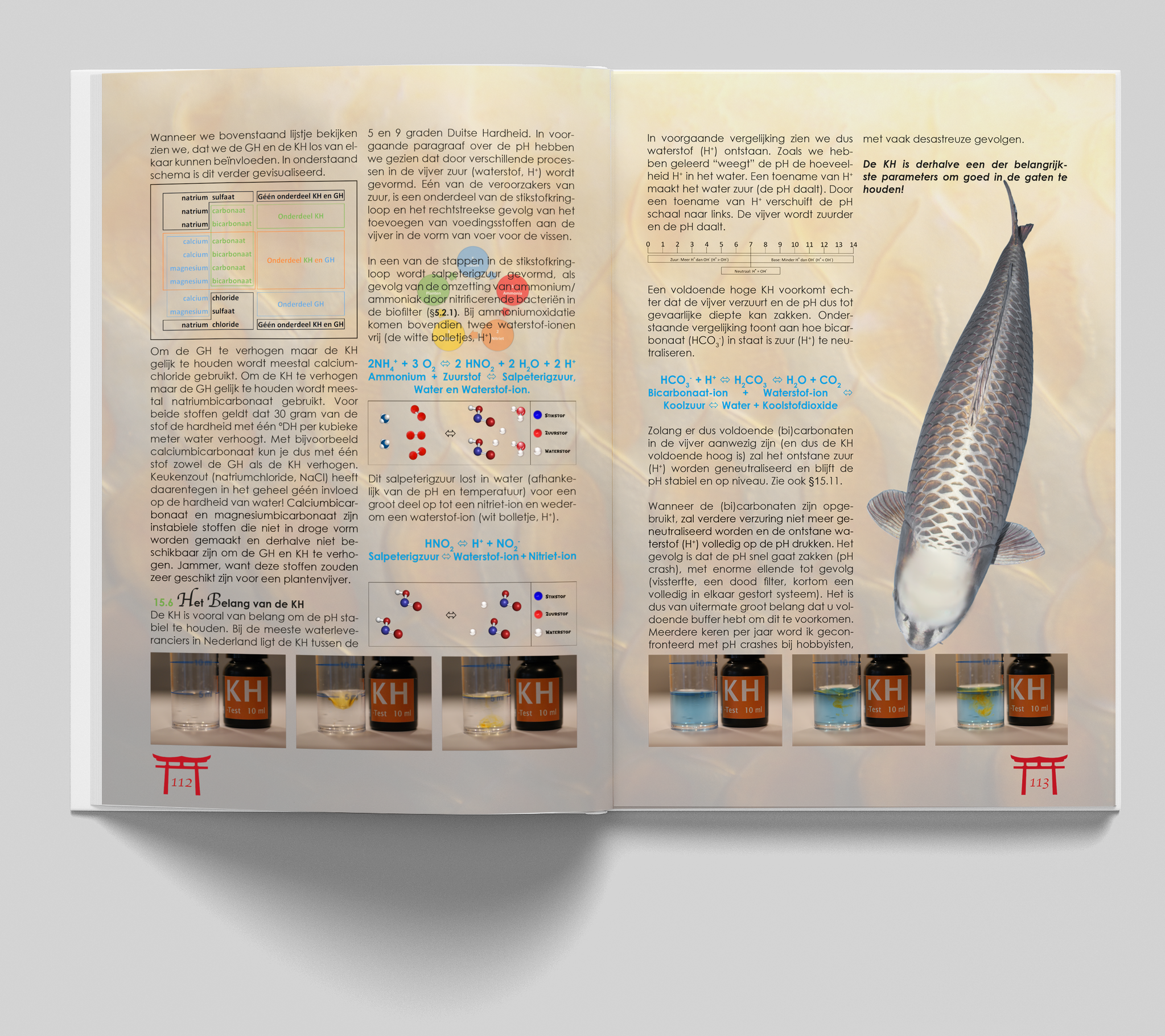 KoiBijbel: Waterkwaliteit