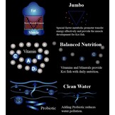 Aqua Master Hi-Growth 10kg (L)