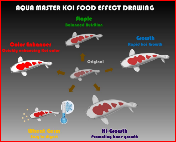 Aqua Master Hi-Growth 10kg (L)