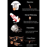 Aqua Master Wheat Germ 1kg (S)