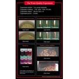 Aqua Master Staple 5kg (S)