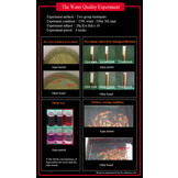 Aqua Master Color Enhancer 5kg (L)