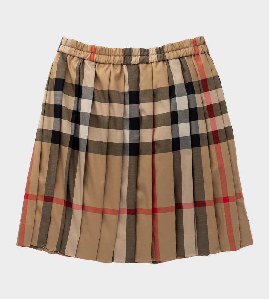 burberry skirt
