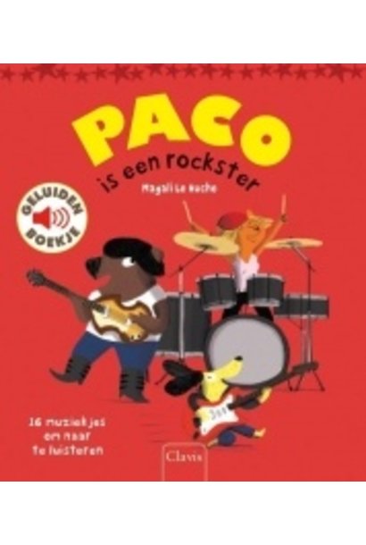 Paco is een rockster