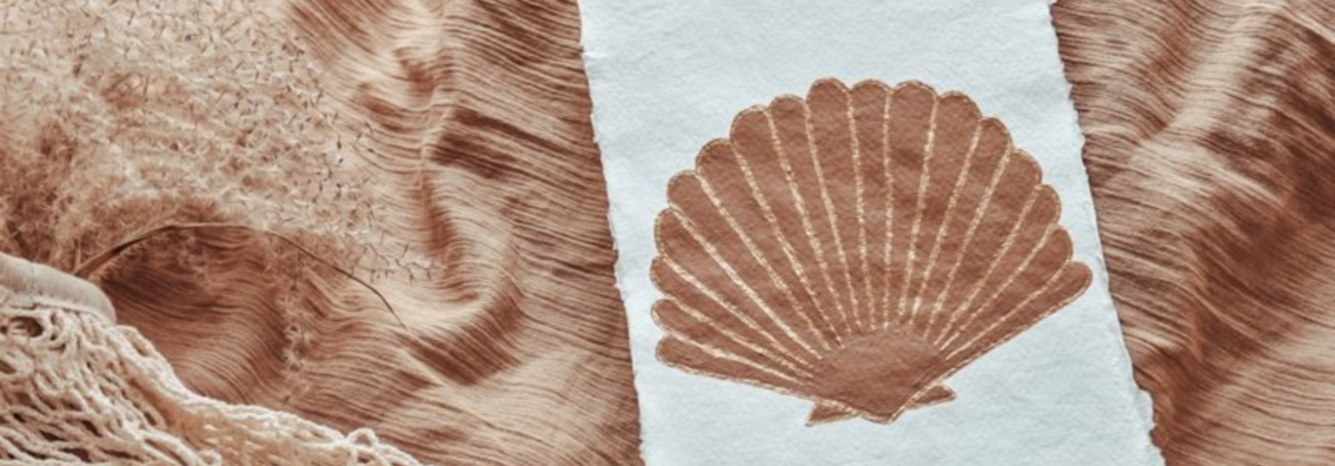 Art Seashell