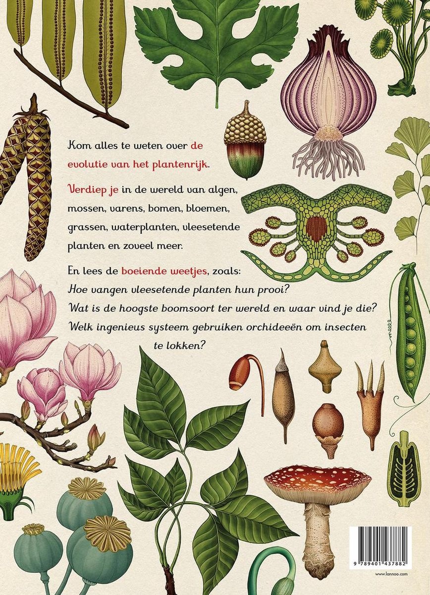 Het plantenboek 8+-2