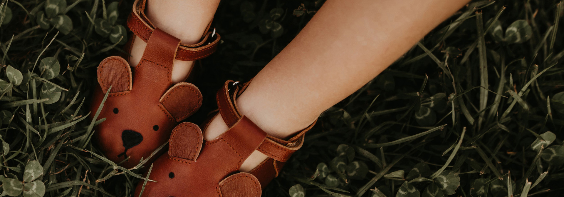 Spark Classic | Bear - Cognac Classic Leather