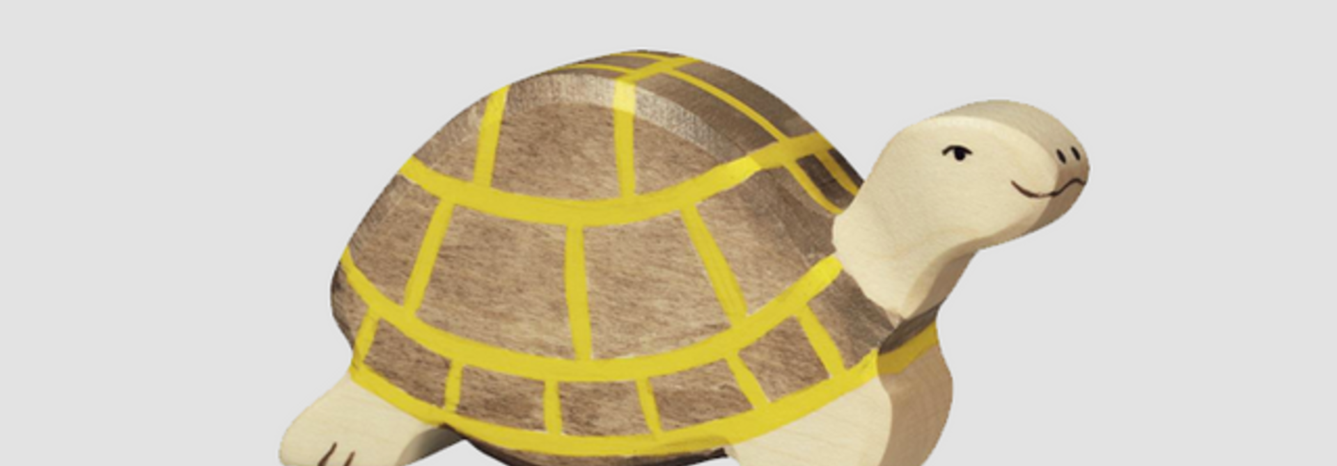 Houten Schildpad
