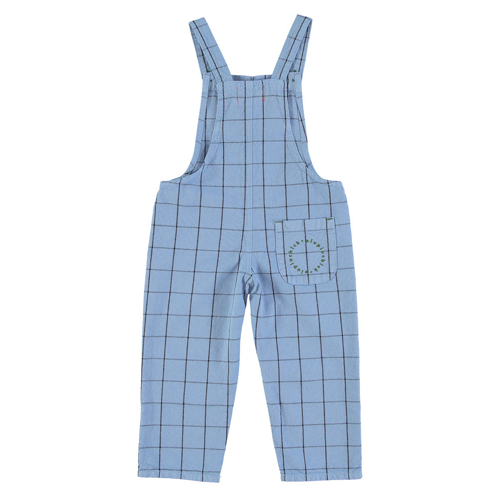 dungarees - blue checkered w/ print-7