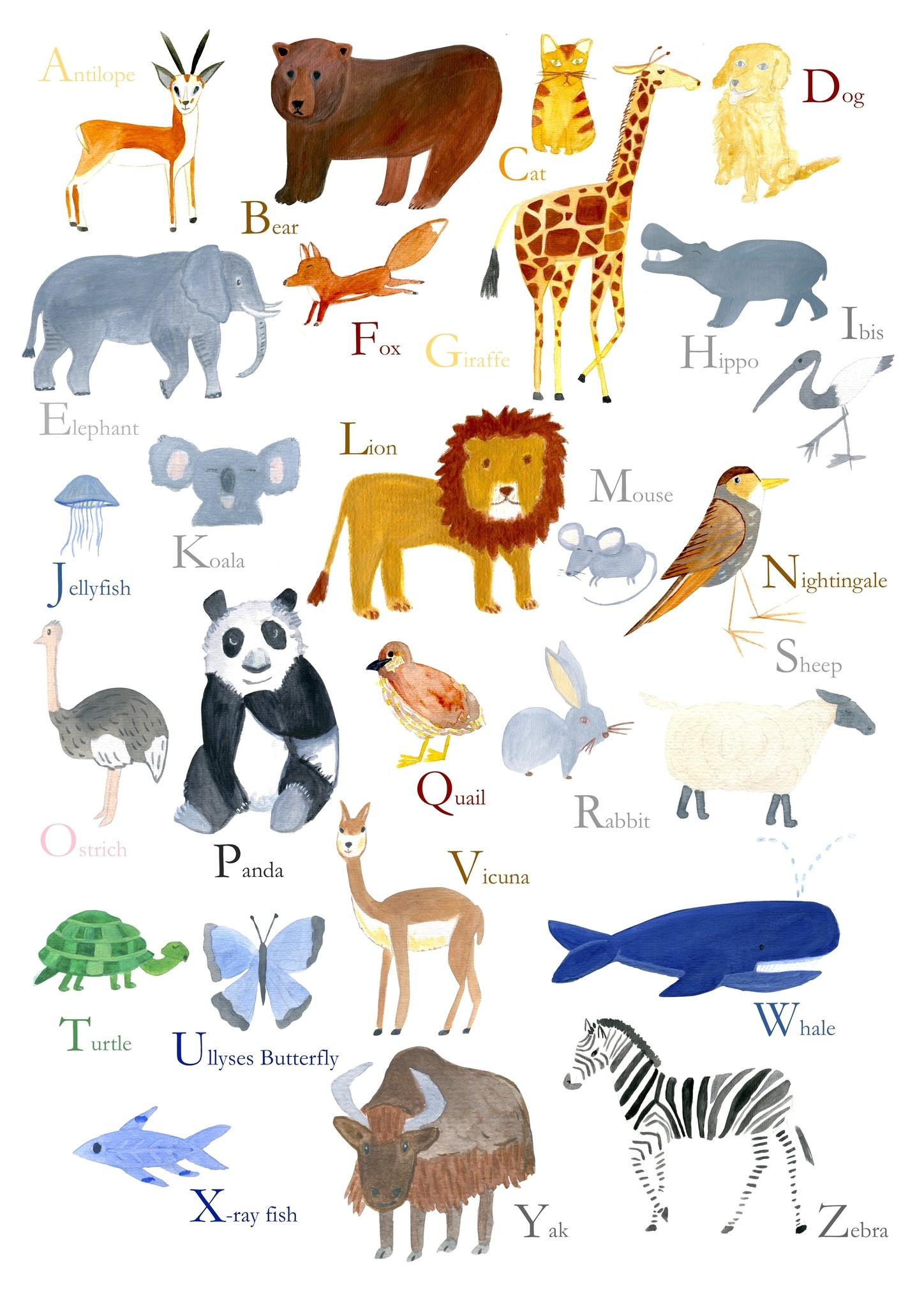 Barbara Gevaerts Poster ABC animals - De Kleine Parade Barbara Gevaerts Poster ABC animals - De Kleine Parade