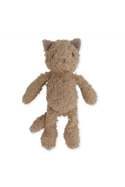 Teddy Animals Cat