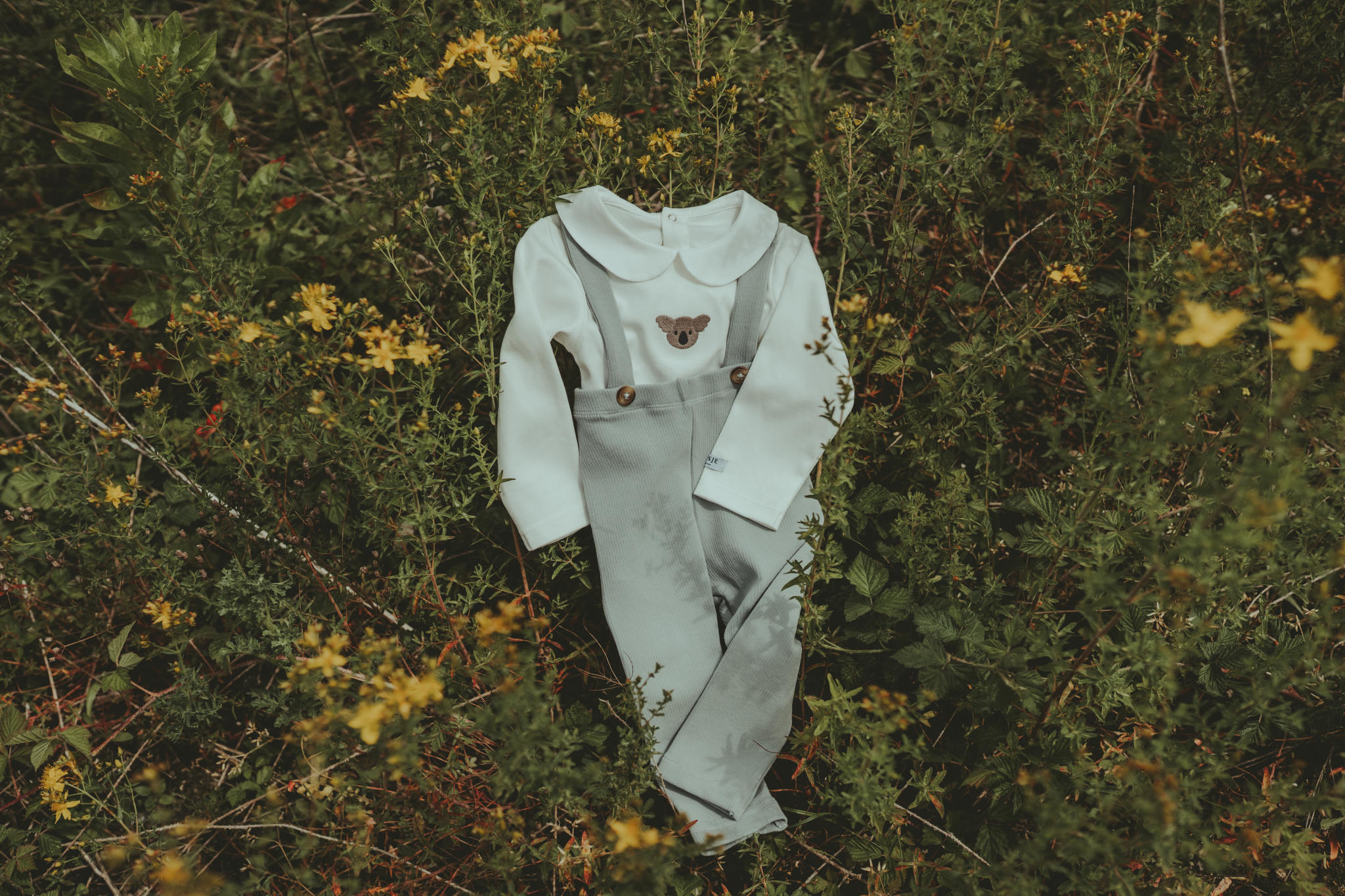 Davo Bodysuit | Koala - Off White-5