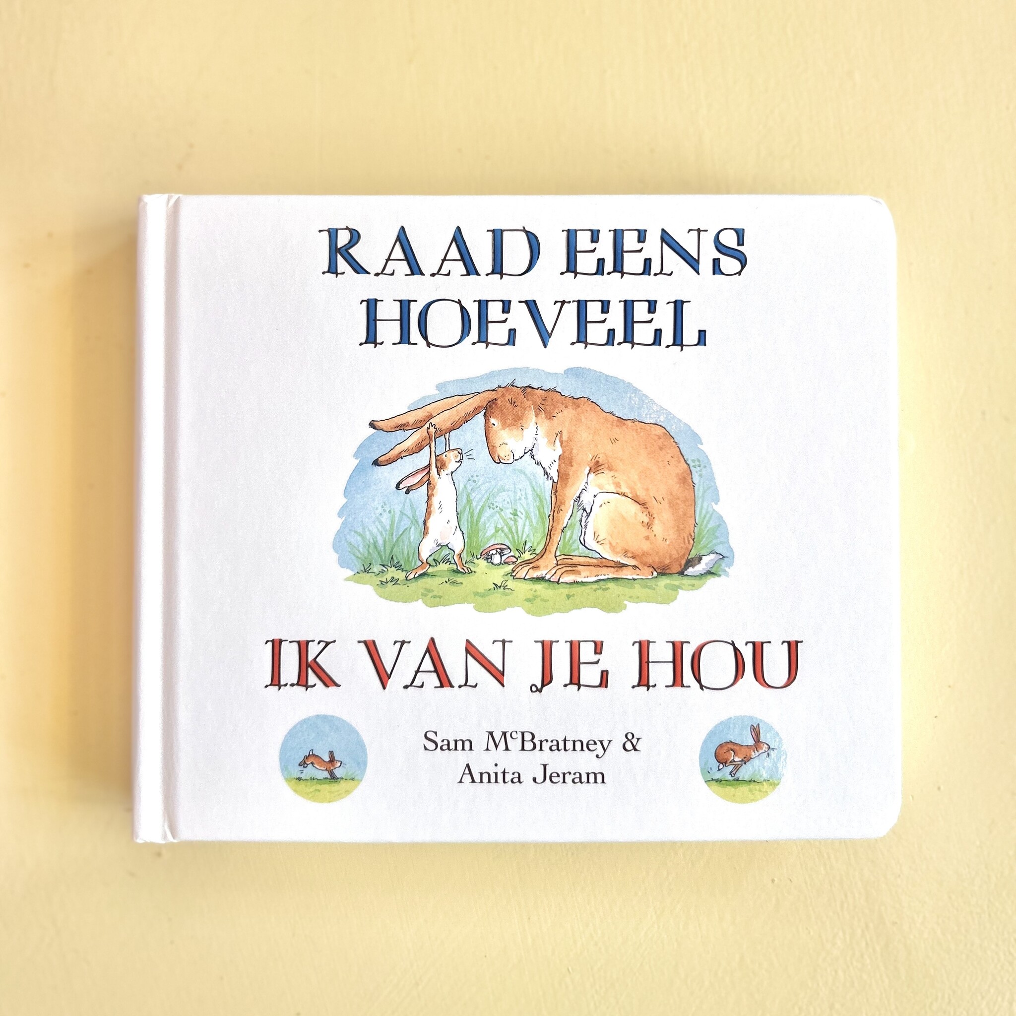 Raad eens (luxe kartonboek)-1