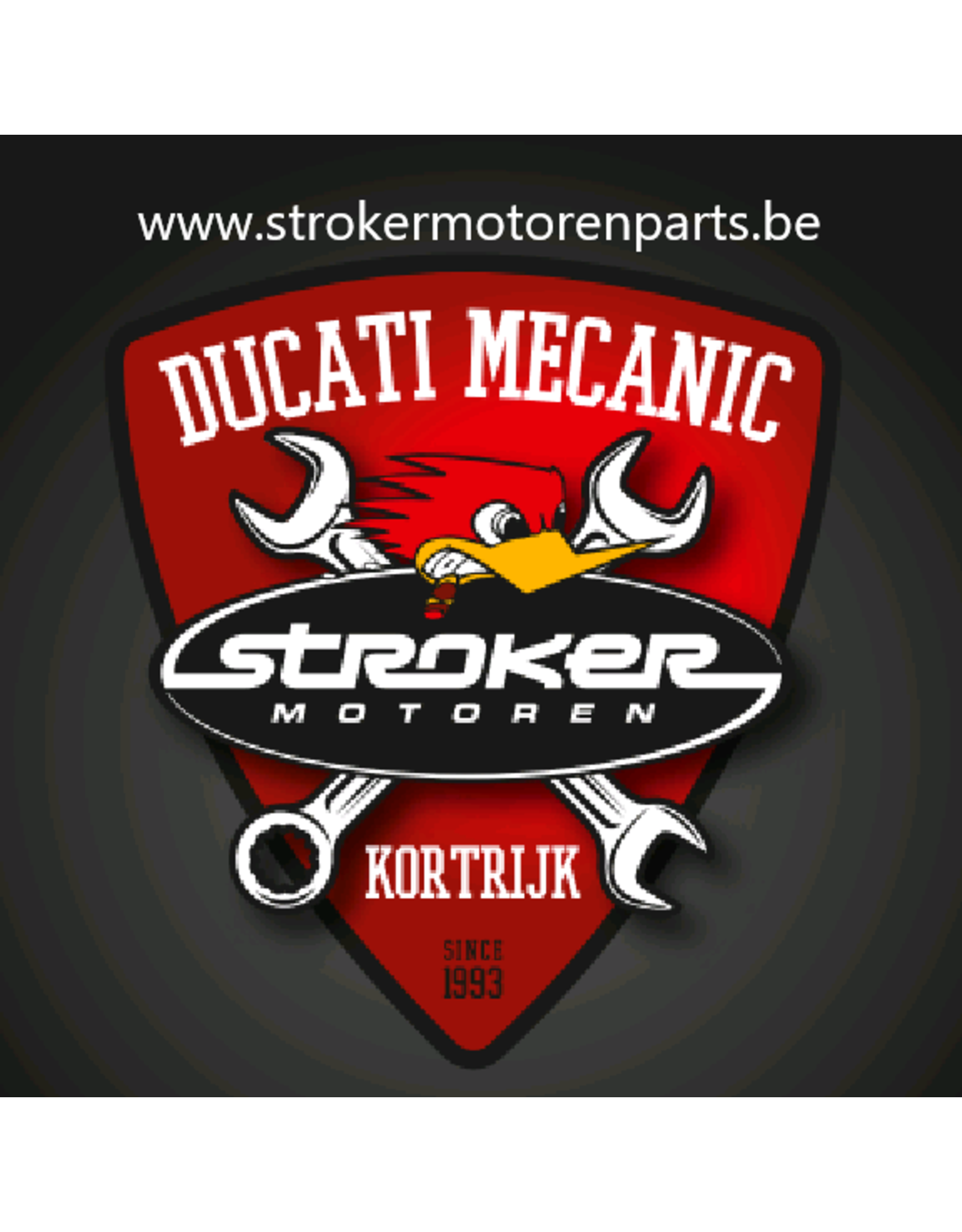 Ducati Ducati M821 & M1200 Side Stand Bolt 82118401AA