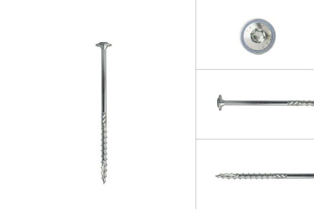 Tellerkopschroeven 6 x 100 mm (100 stuks)