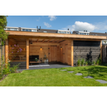 Overkapping met schuur/ shutter 800x350