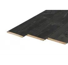 Douglas halfhoutsrabat 18 x 195 mm - 2x zwart gespoten