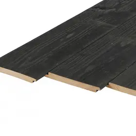 Douglas halfhoutsrabat 18 x 195 mm - 2x zwart gespoten