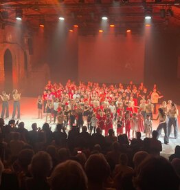 Arlekino Ticket dansfeest Voorstelling 2