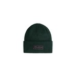 Junior Ribbed Logo Beanie - Dark Green