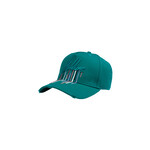 Men Painter Cap - Petrol