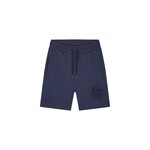 Men Painter Shorts - Navy