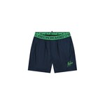 Men Venetian Swim Shorts - Navy/Green