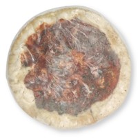 Pizzaccia Pomodoro 150 gram