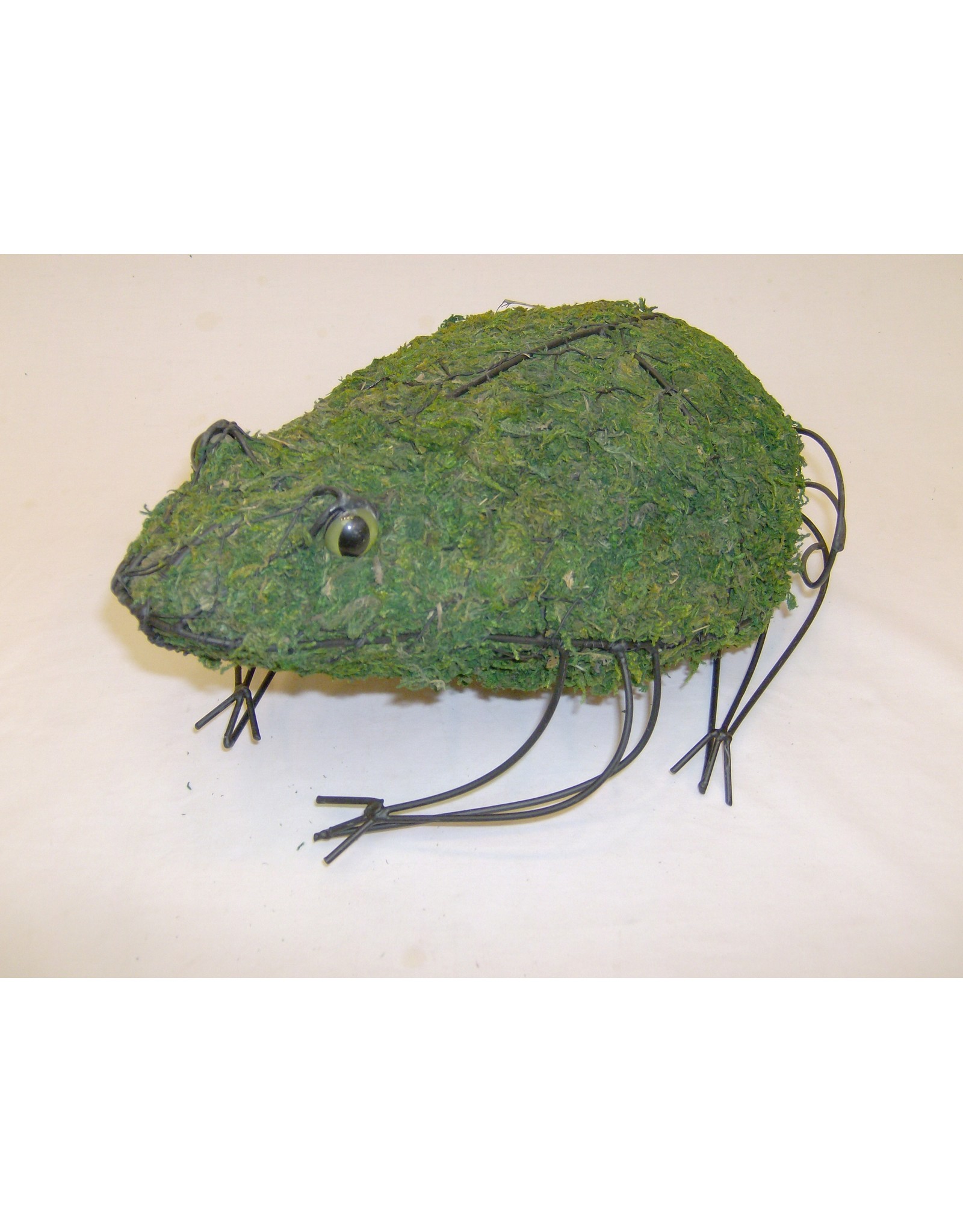 Artopya Chicken Wire Frog