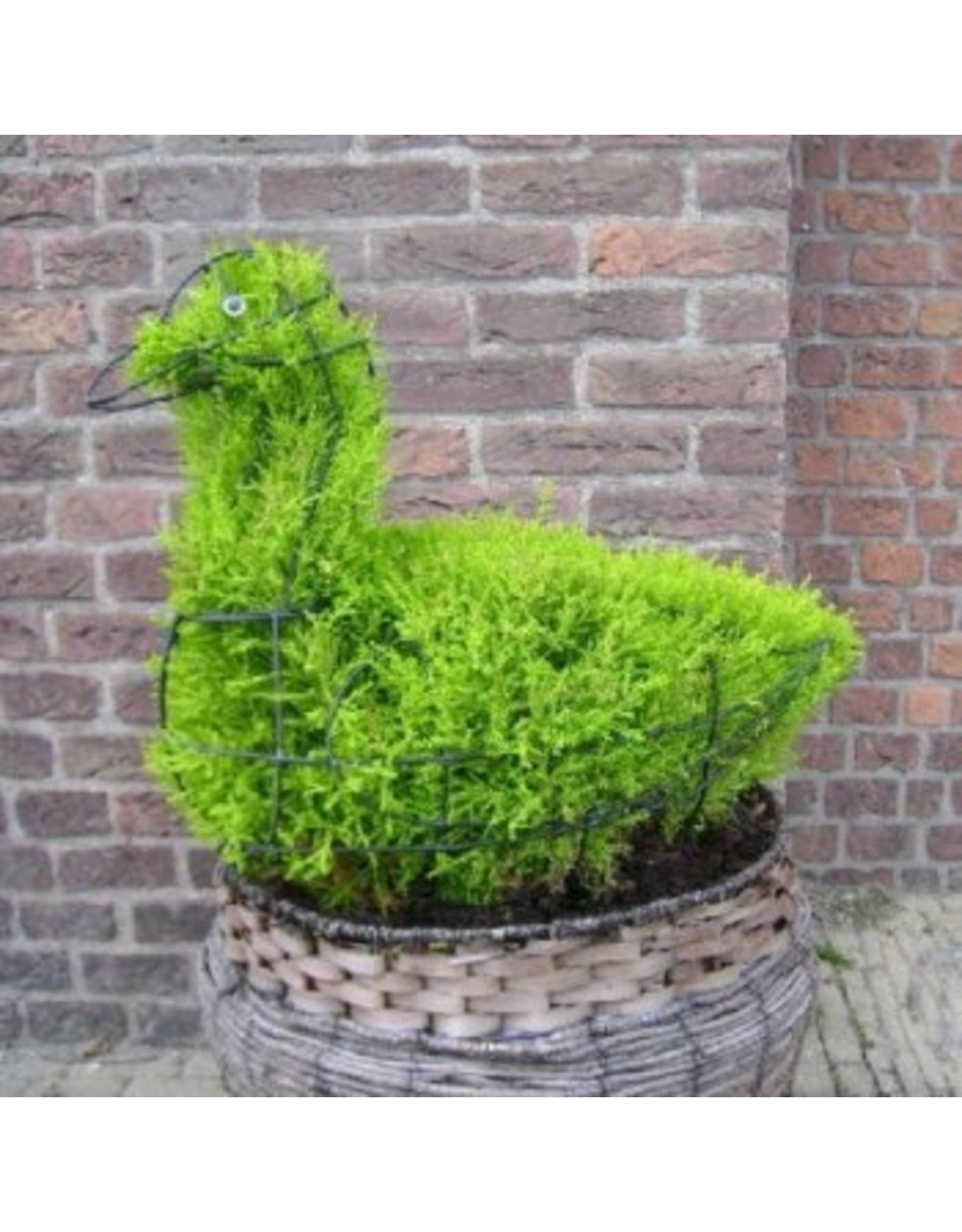 Artopya Topiary Duck