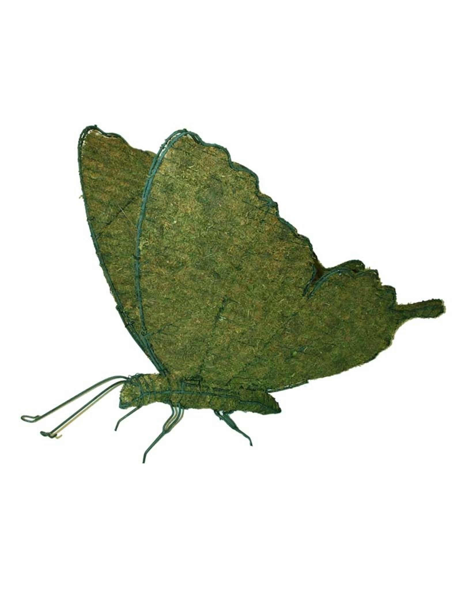 Artopya Vlinder