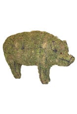 Artopya Pig