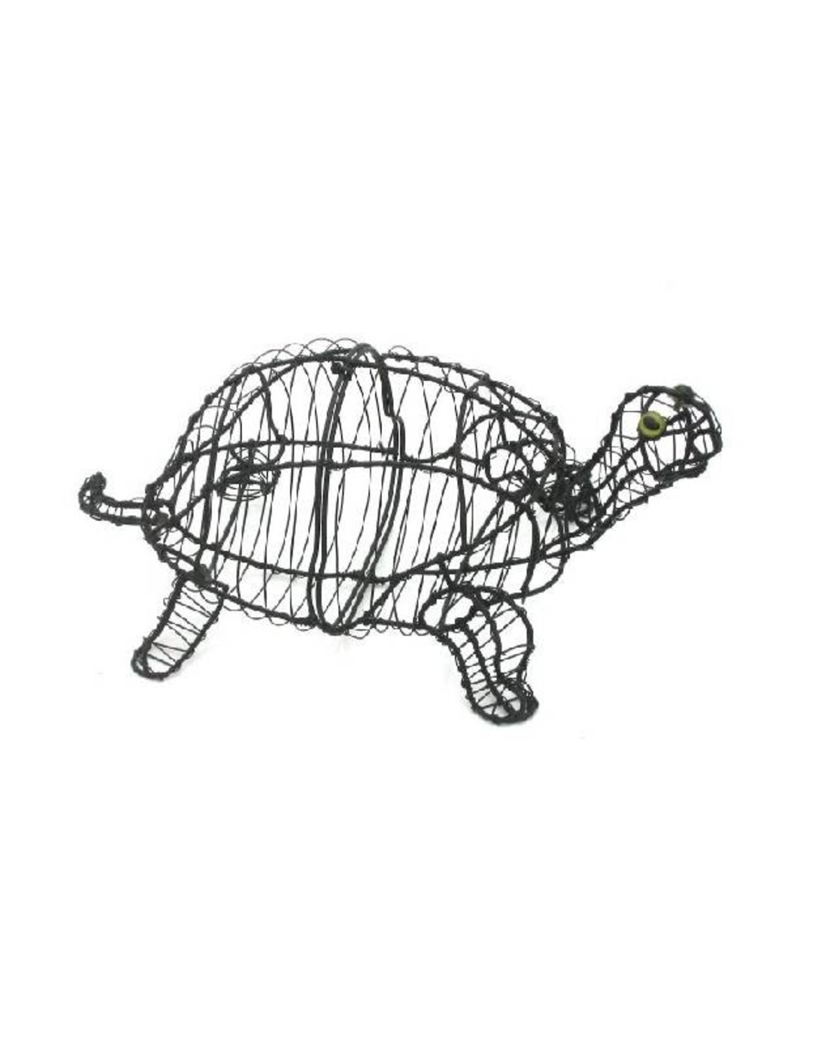 Artopya Turtle