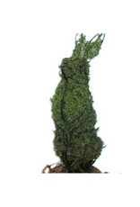 Artopya Topiary Rabbit Standing