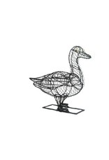 Artopya Duck