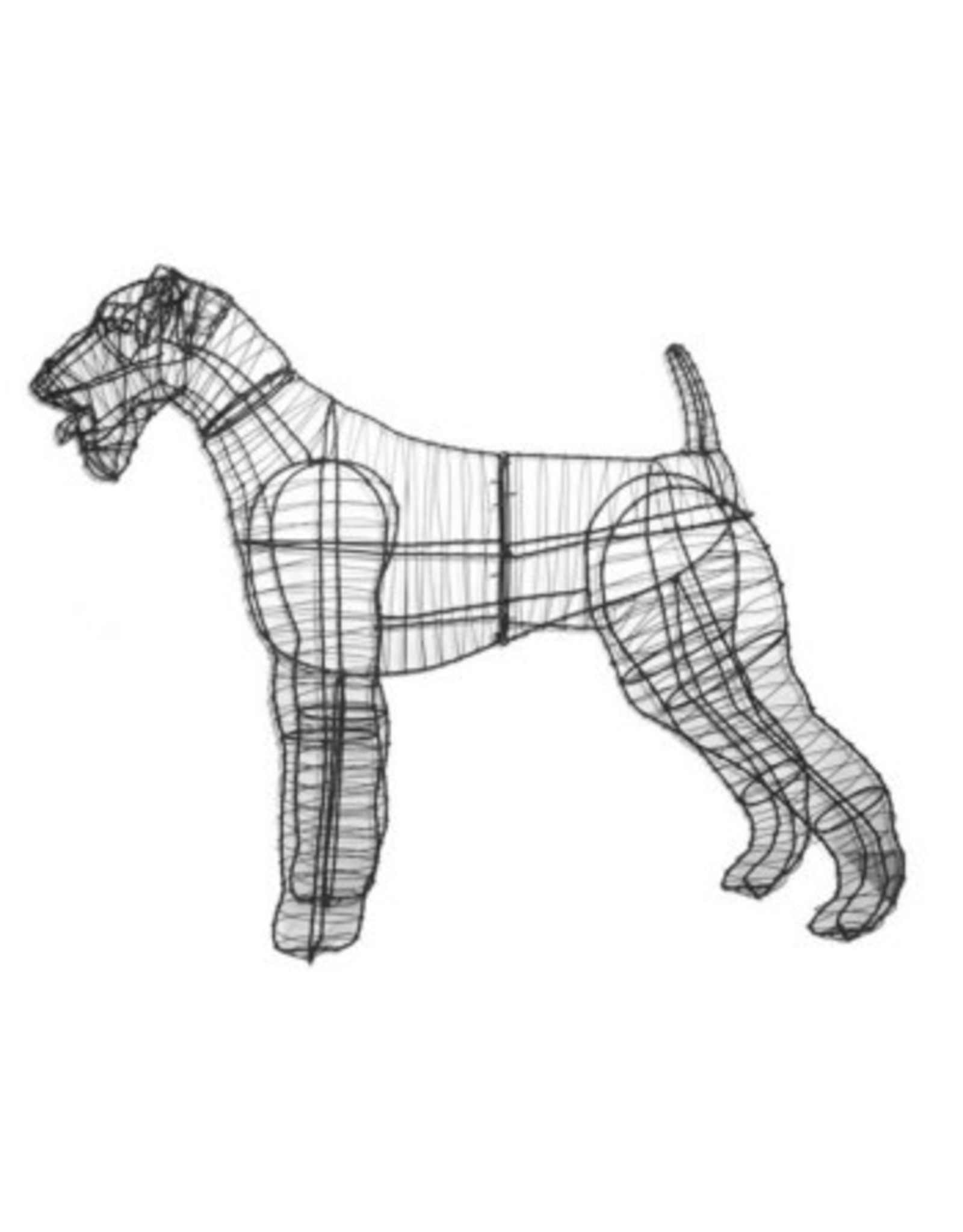 Artopya Hond Airedale Terrier