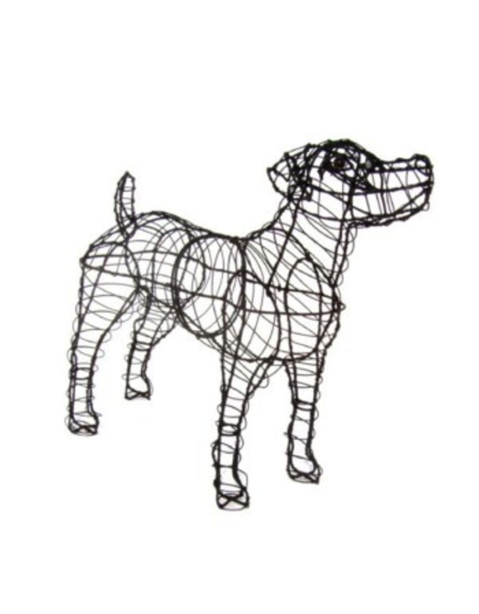 Artopya Hond Jack Russel