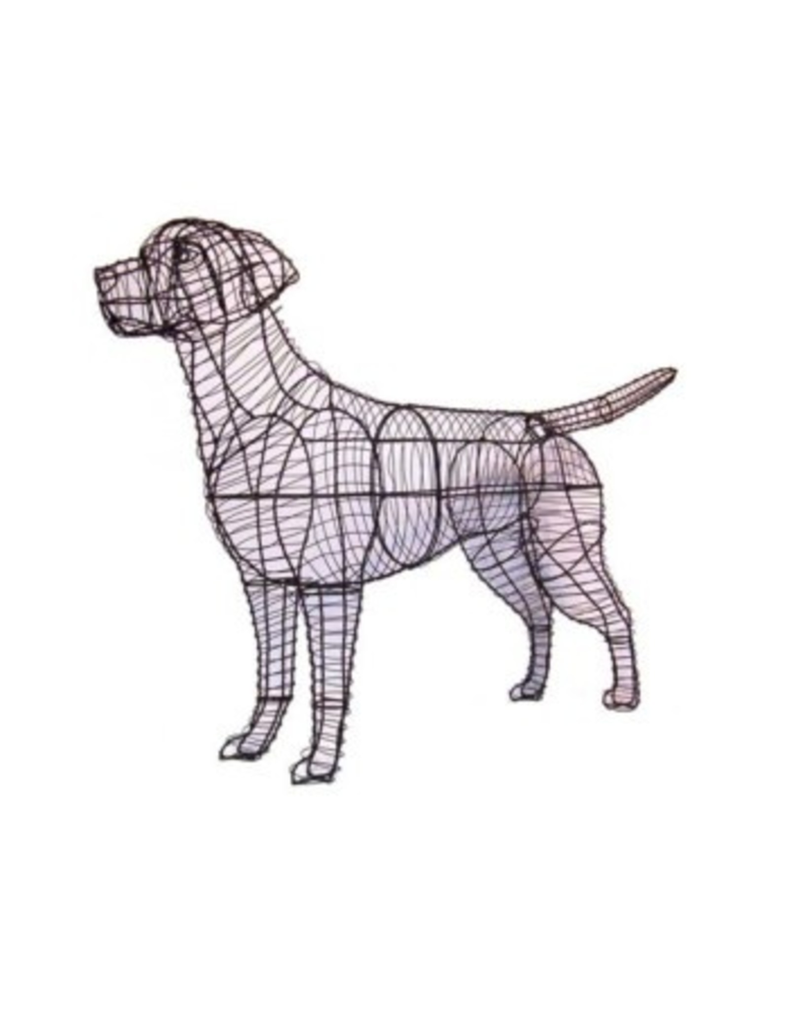 Artopya Dog Labrador Retriever