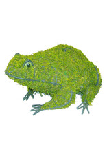 Artopya Frog