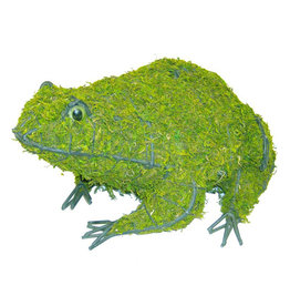 Artopya Frog