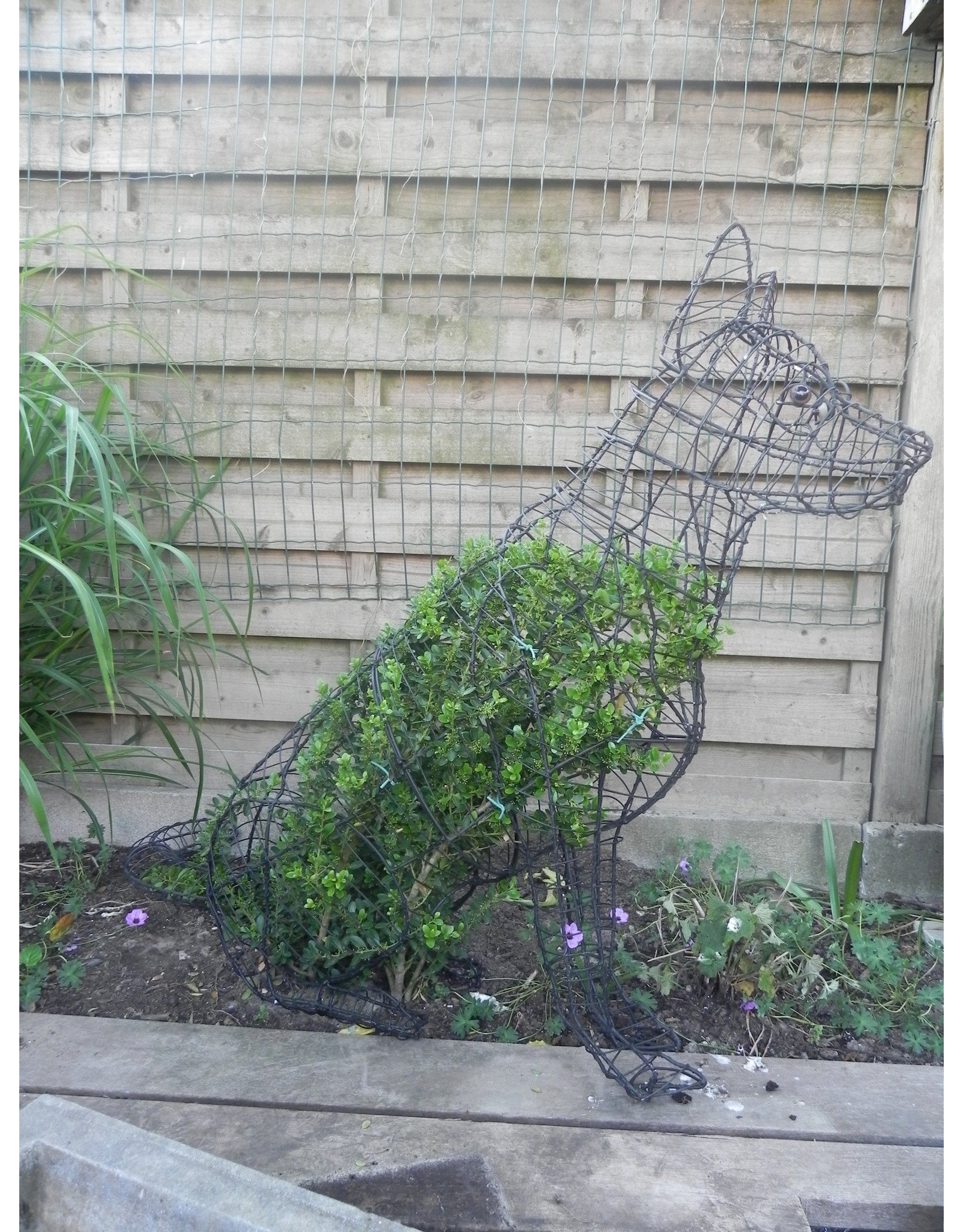 Artopya Topiary Dog German Shepherd Sitting