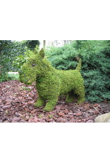 Artopya Hond Scottie