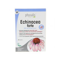 Physalis Supplementen Echinacea Forte Tabletten 30Tabletten