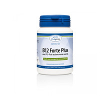 Vitakruid B12 Forte Plus Smelttabletten Energie bij