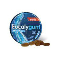 Tilman Eucalygum Sugar Free Gommetjes Eucalyptus + Menthol 32gr